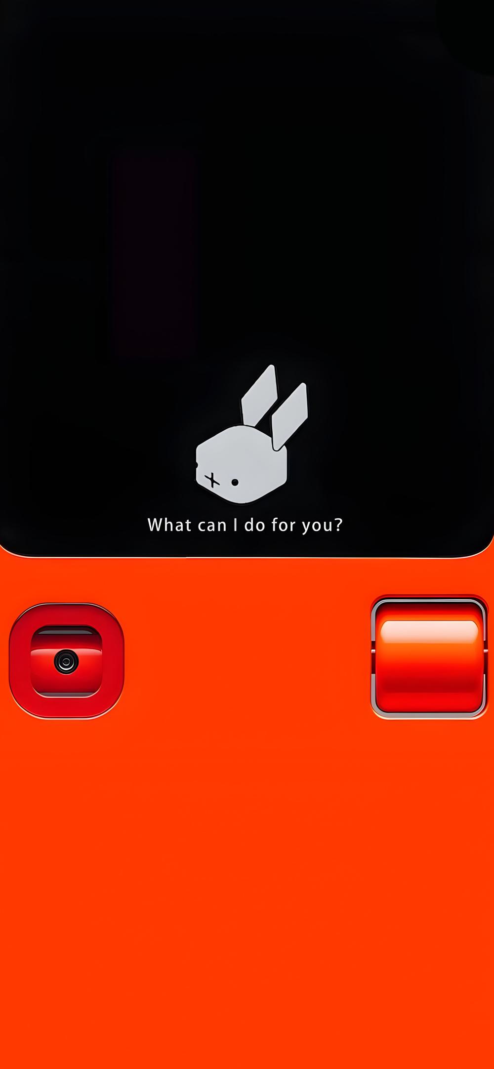 Download Minimalist Rabbit R1