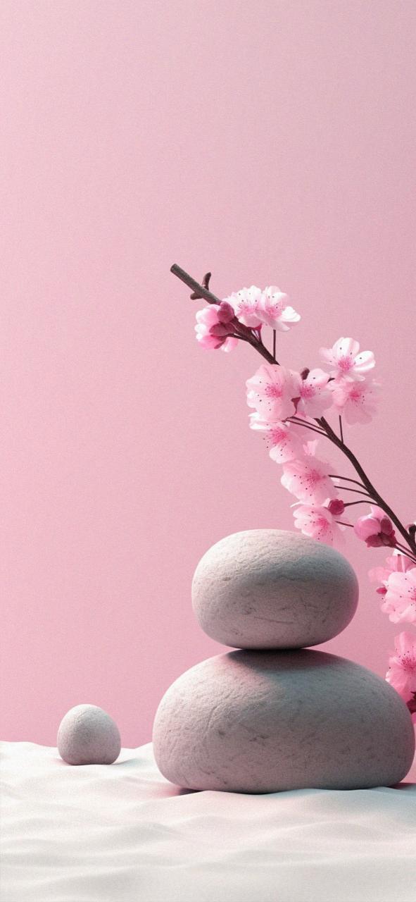 Download Zen Garden Minimalist