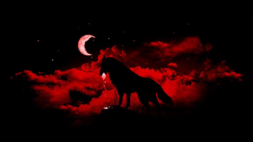 Download wolf fantasy art Moon