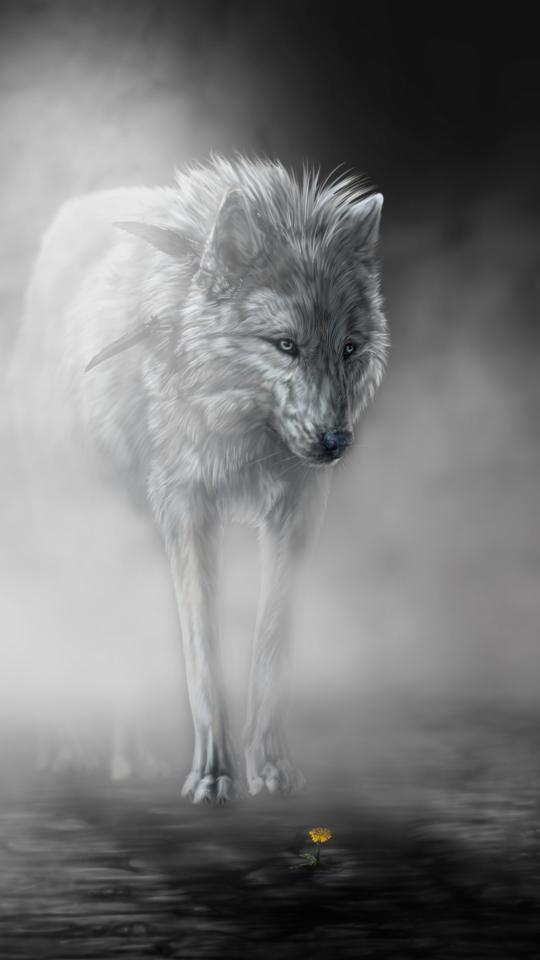 Download Art Fantasy Black and White Wolf