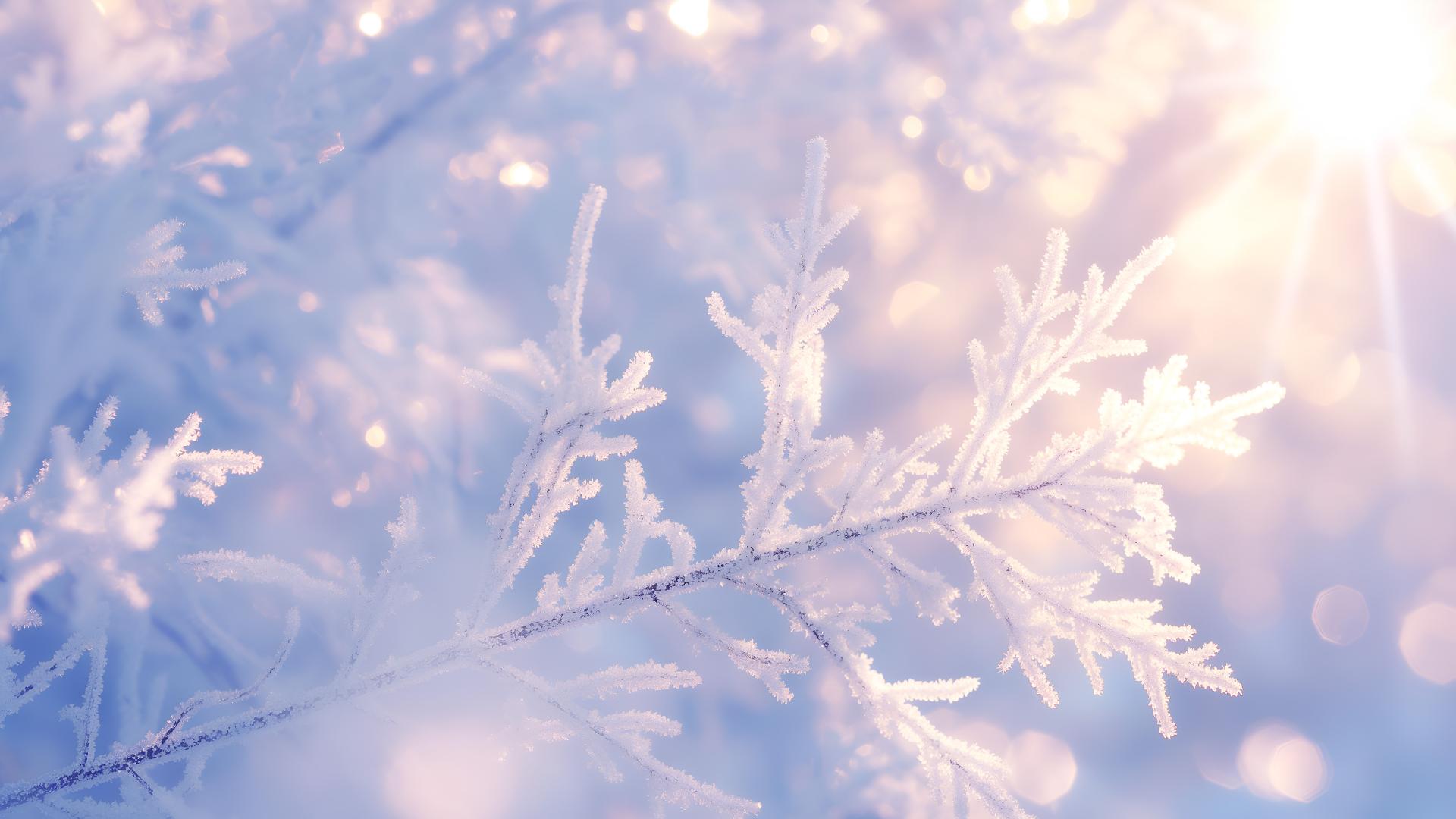 Download Frosty Winter Snowflake 4k