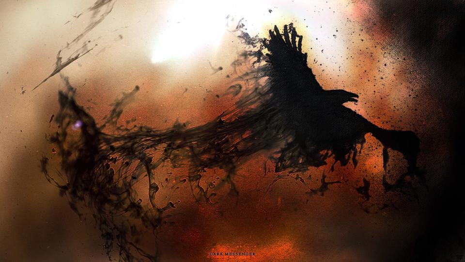 Download black bird illustration dark