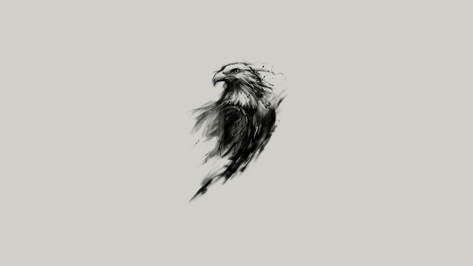 Download eagle sketch bald eagle