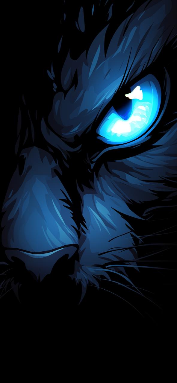 Download Black Cat Blue Glowing Eye Black