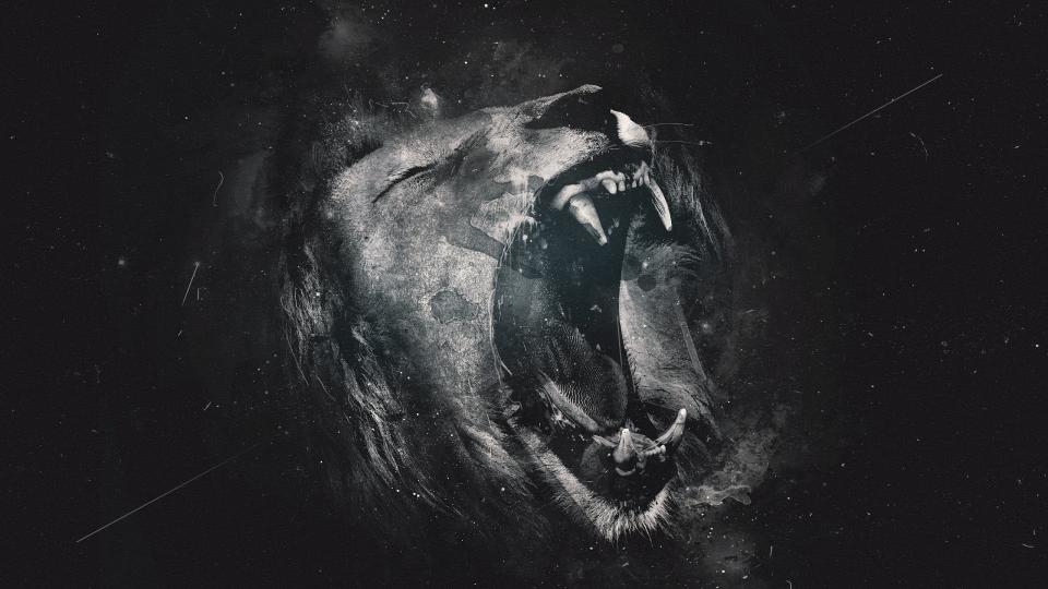 Download lion illustration digital art