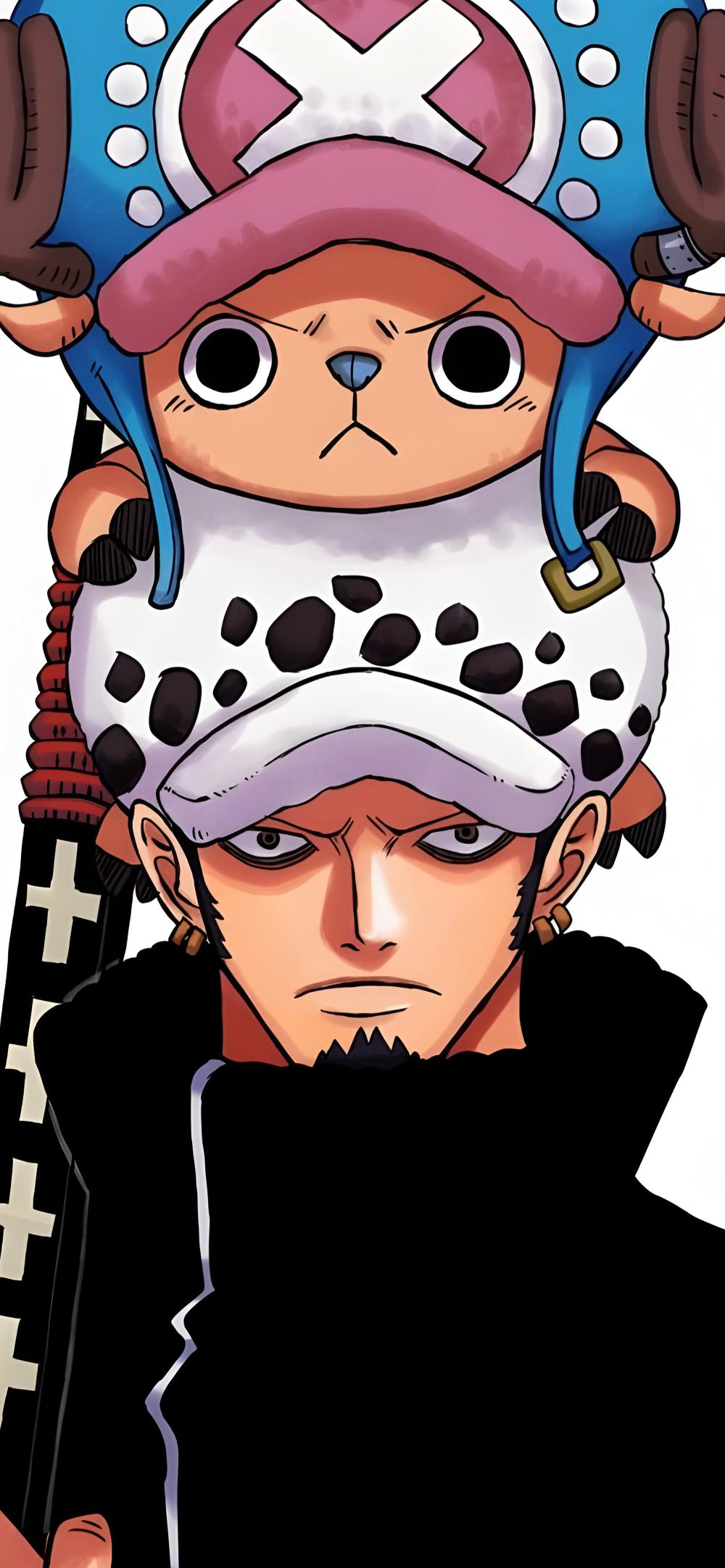 Download One Piece Law Chopper Duo