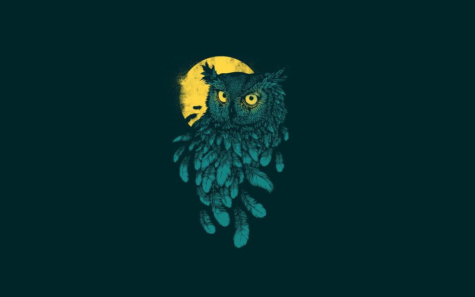 Download owl animation  digital