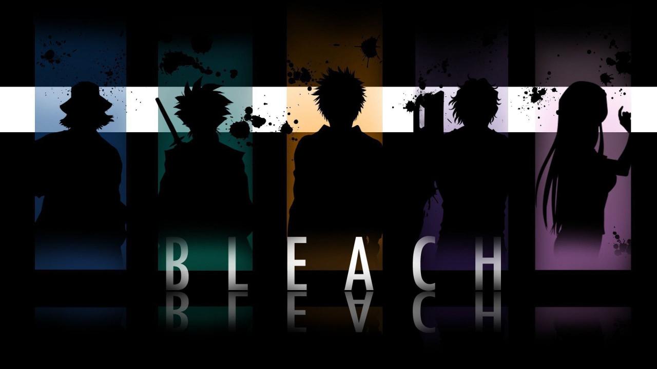 Download Bleach Anime silhouette paint