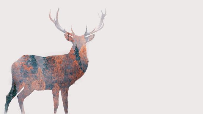 Download deer painting brown and