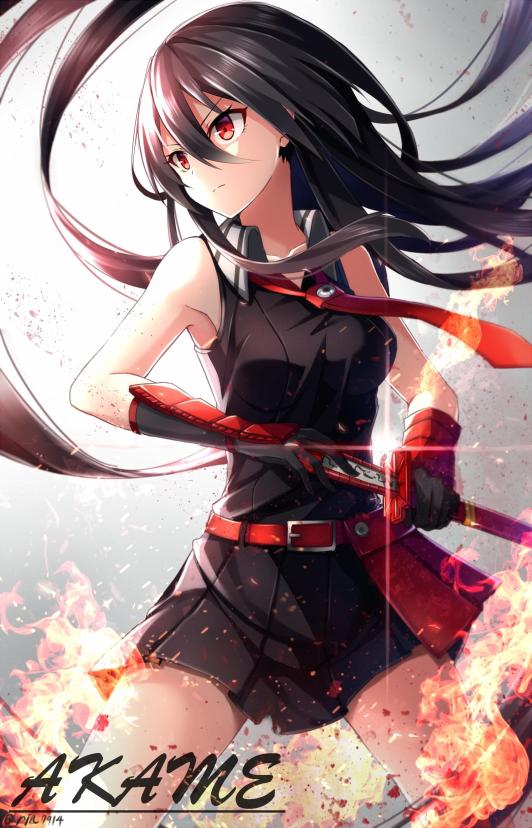 Download Akame  Akame ga