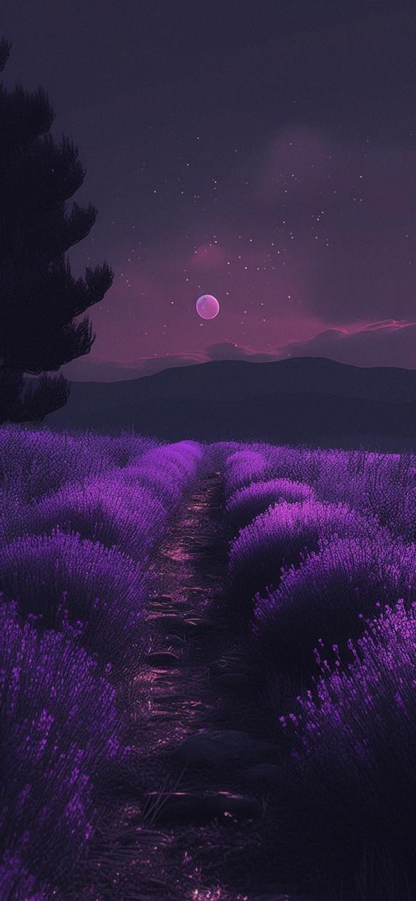 Download Night Lavender Field Art