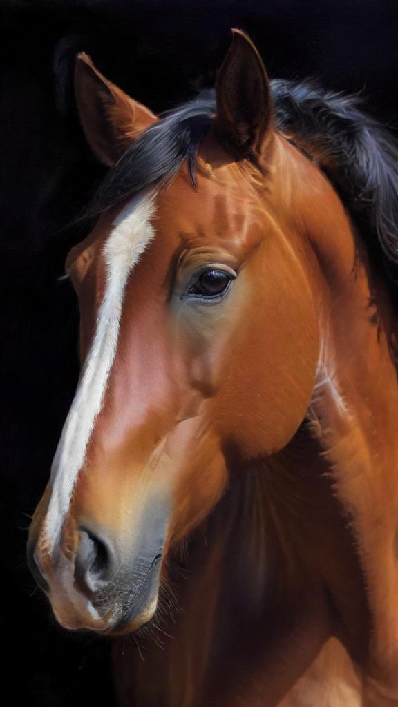 Download The Image Of A Beautiful Horse