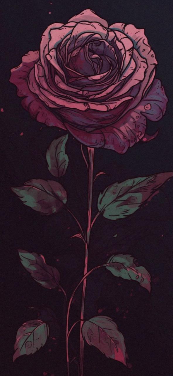 Download Beautiful Rose Dark