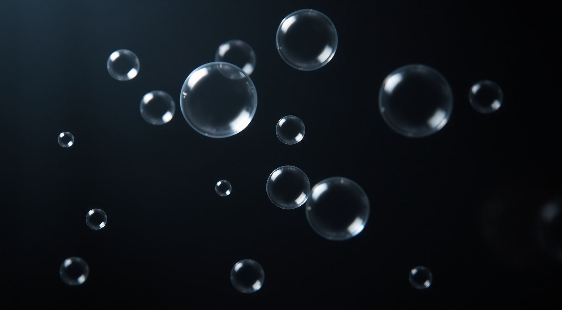 Download White Bubbles With Black Background