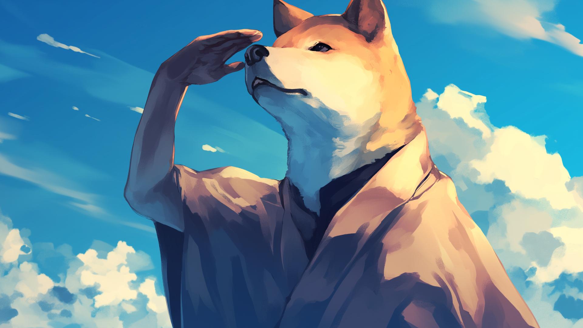 Download Noble Shiba Contemplation Blue Sky Desktop Wallpaper