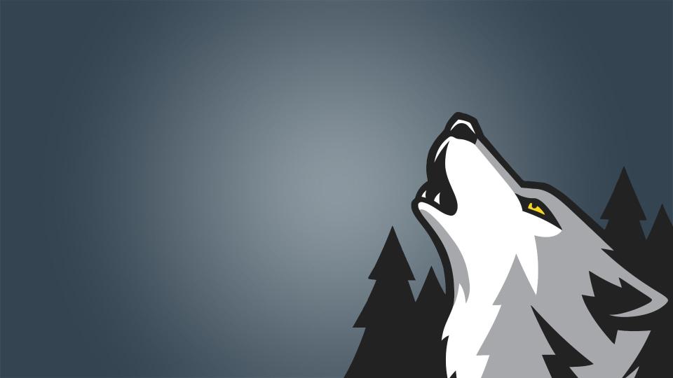 Download wolf illustration digital art