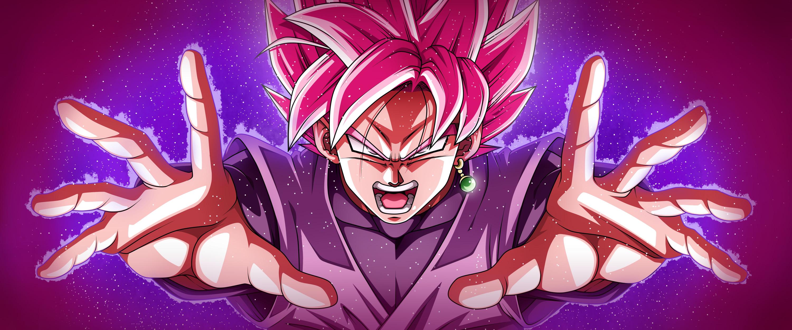 Download Dragon Ball Super Goku