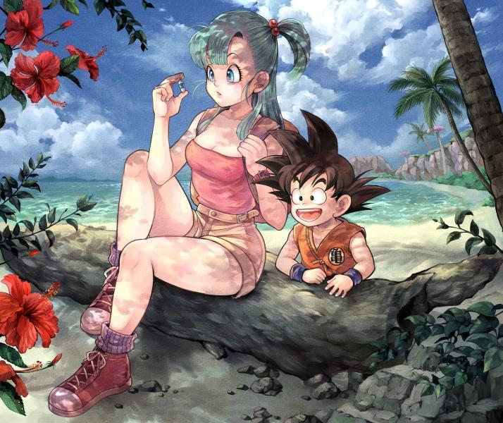 Download Bulma and Son Goku