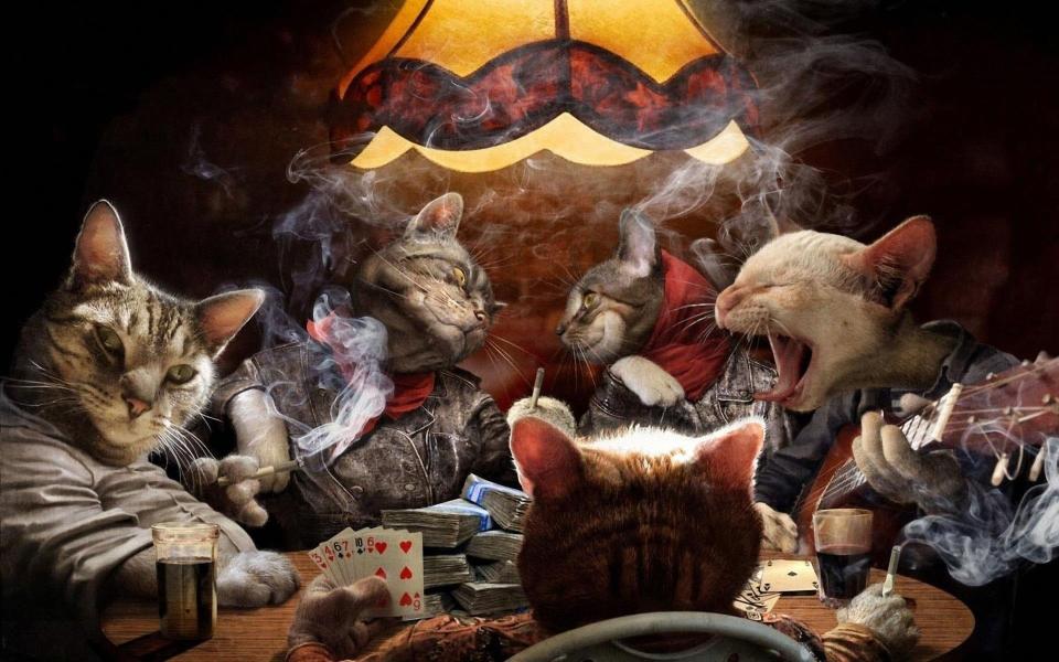 Download Cats Night Out poker