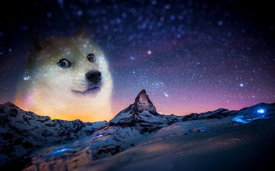 Download snow night animals doge