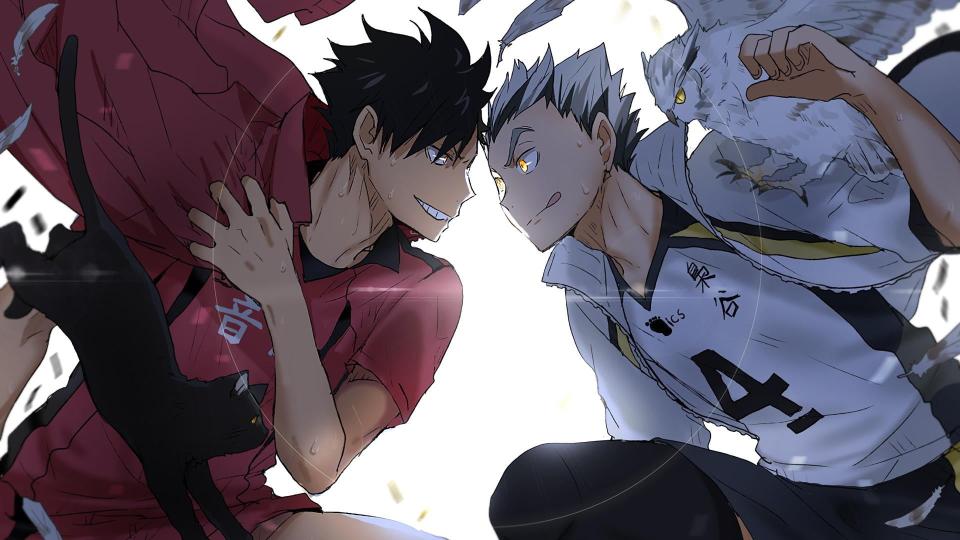 Download bokuto haikyuu haikyuu kuroo