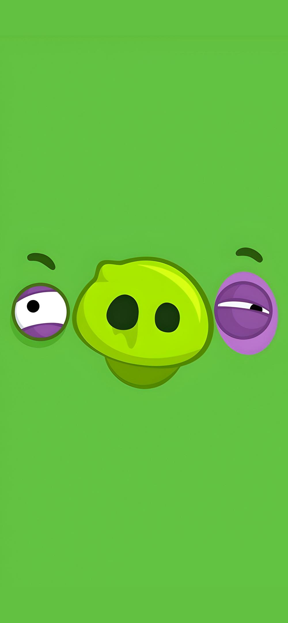 Download Green Pig Angry Birds