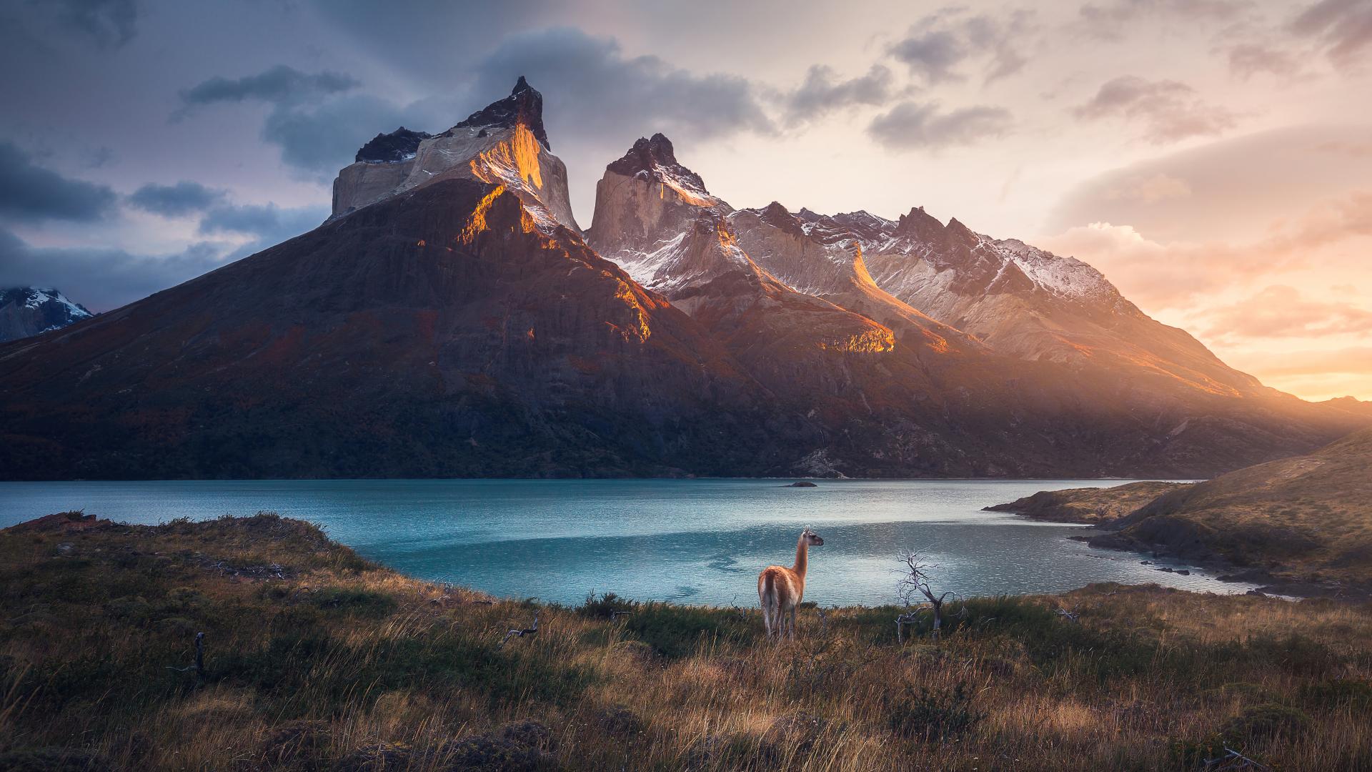 Download Majestic Patagonia