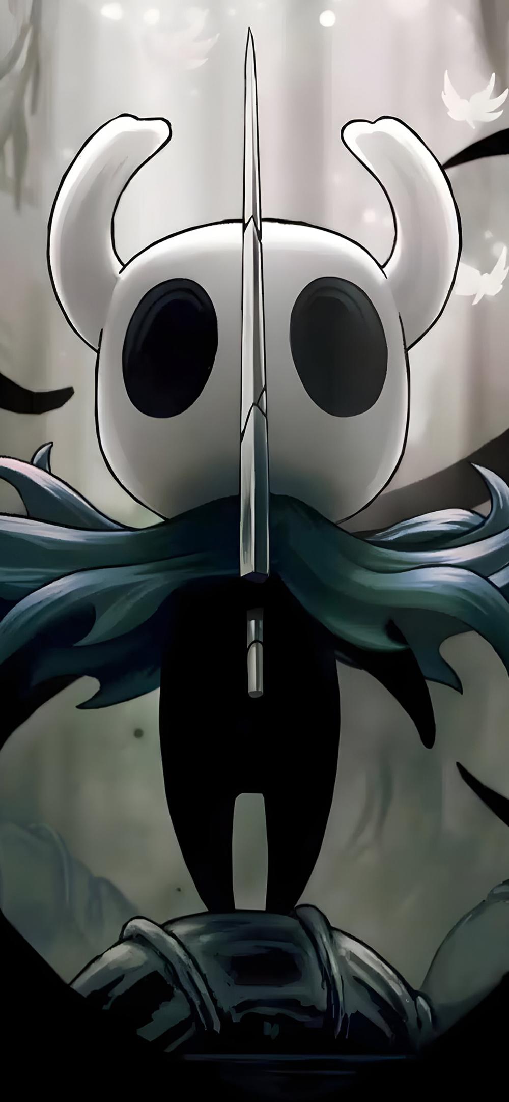 Download Hollow Knight Sword Shadows