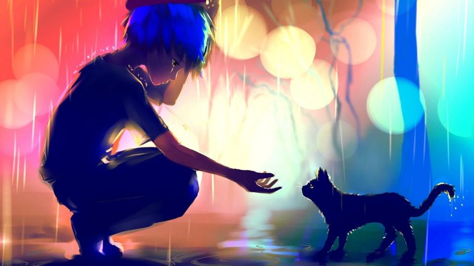 Download anime boy cat raining