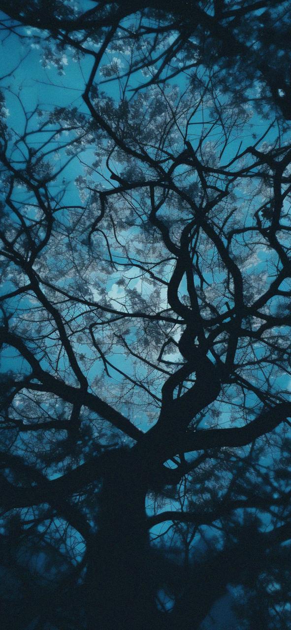 Download Tree Branches Blue Aesthetic