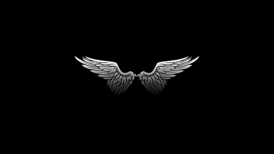 Download silver wings black background