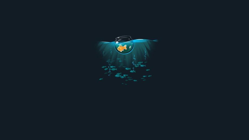 Download orange fish illustration minimalism