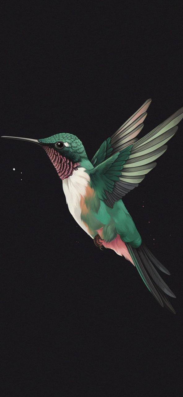 Download Ruby Throated Hummingbird