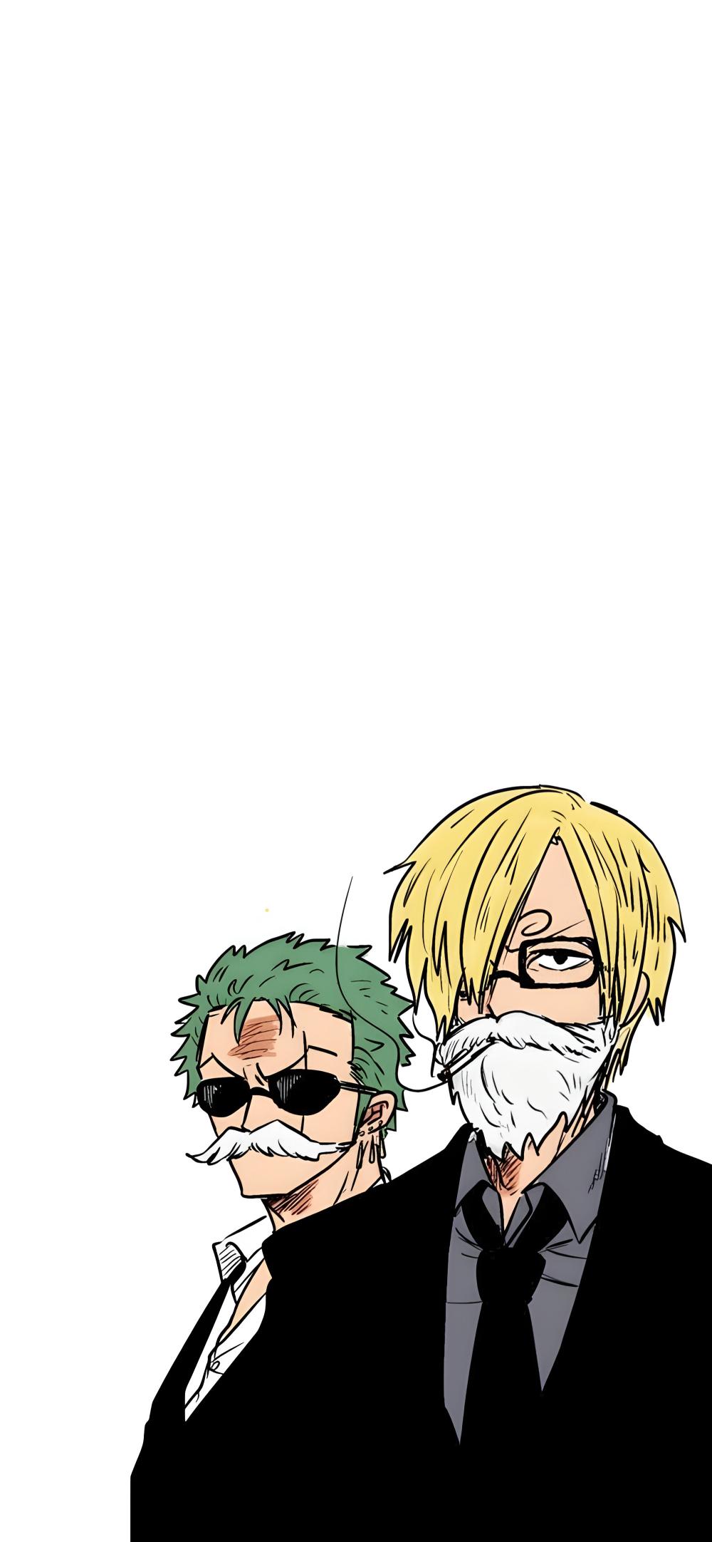 Download Zoro Sanji Cool Minimalist