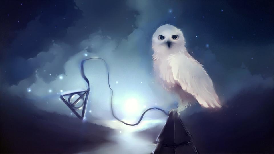 Download white owl  Harry