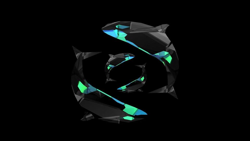 Download black and multicolored Orca