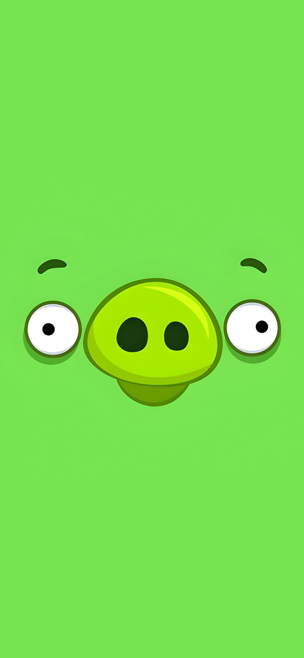 Download Angry Birds Green Pig