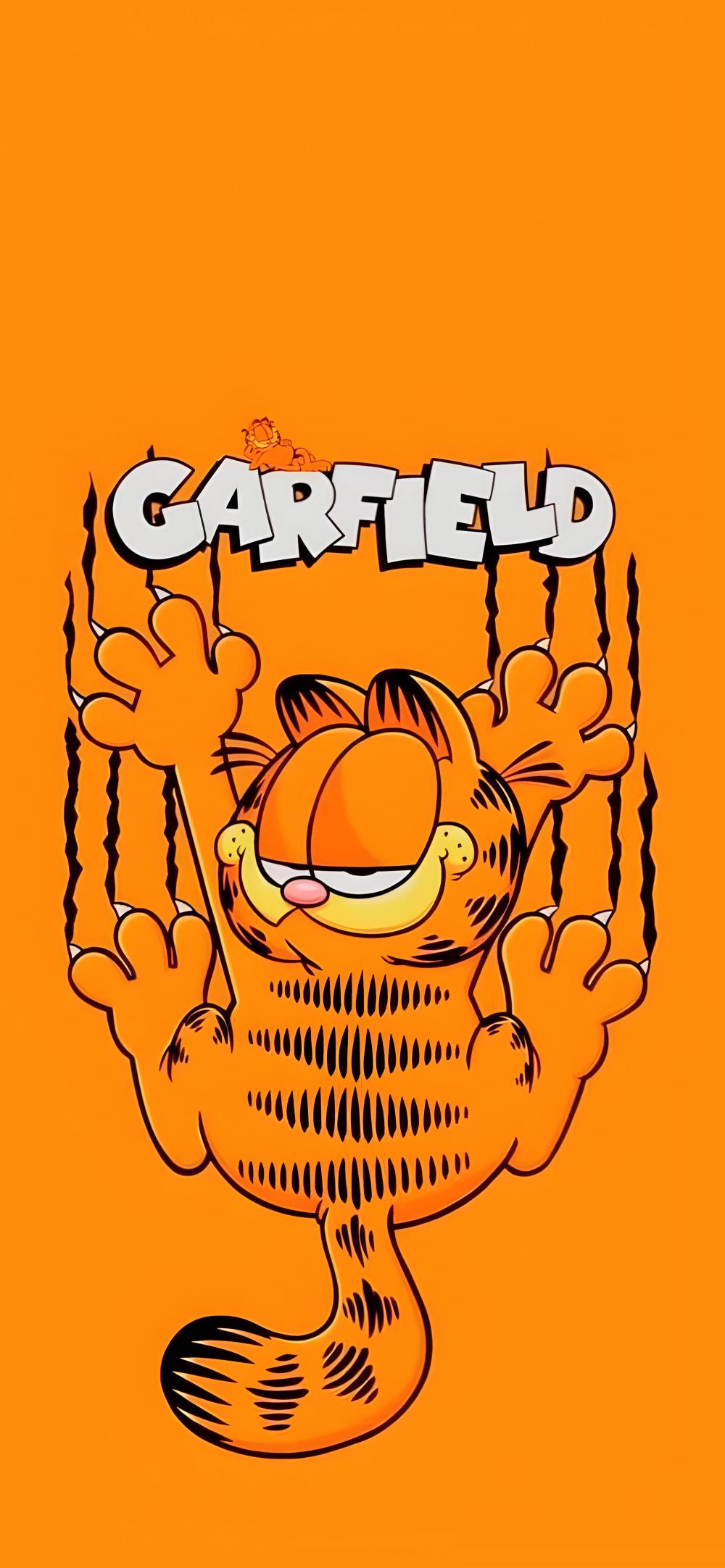 Download Garfield Peeking