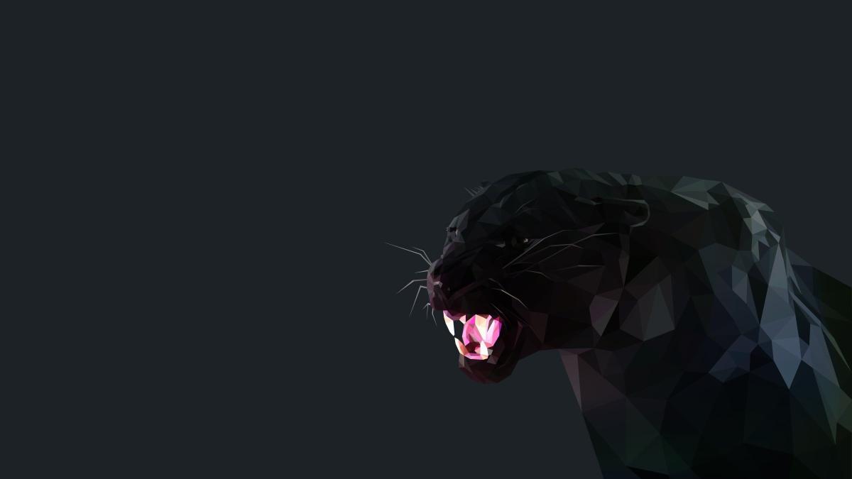 Download black panther illustration cat