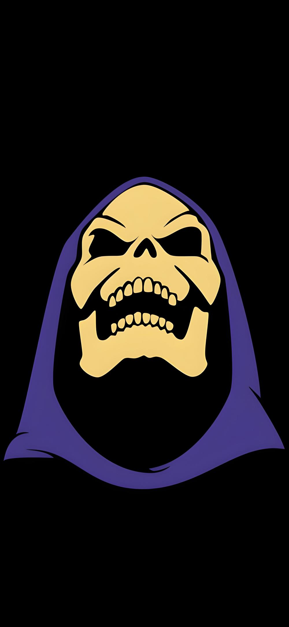 Download Skeletor Master Of Evil