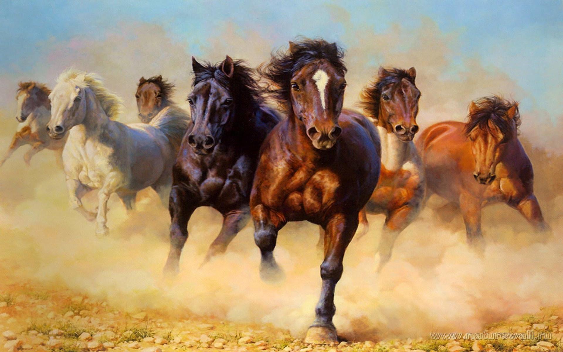 Download Animals Wild Horses Galloping