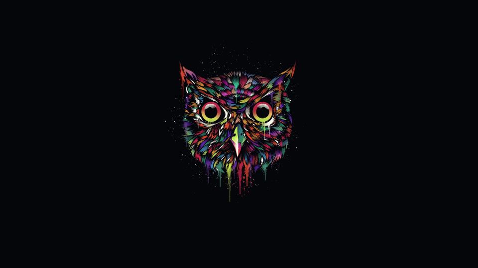 Download multicolored owl illustration the